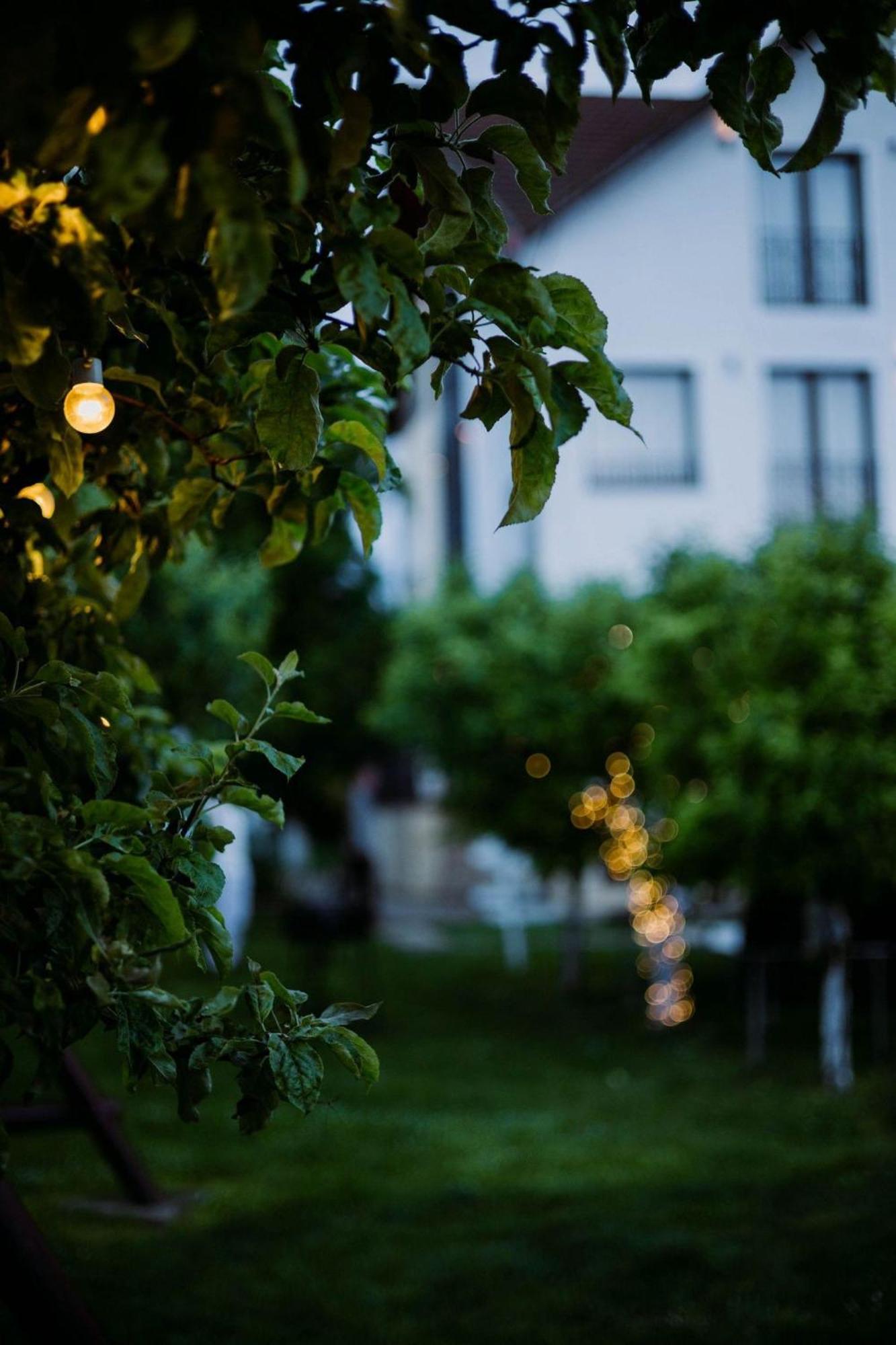 Stupina Hotel Brasov Exterior photo